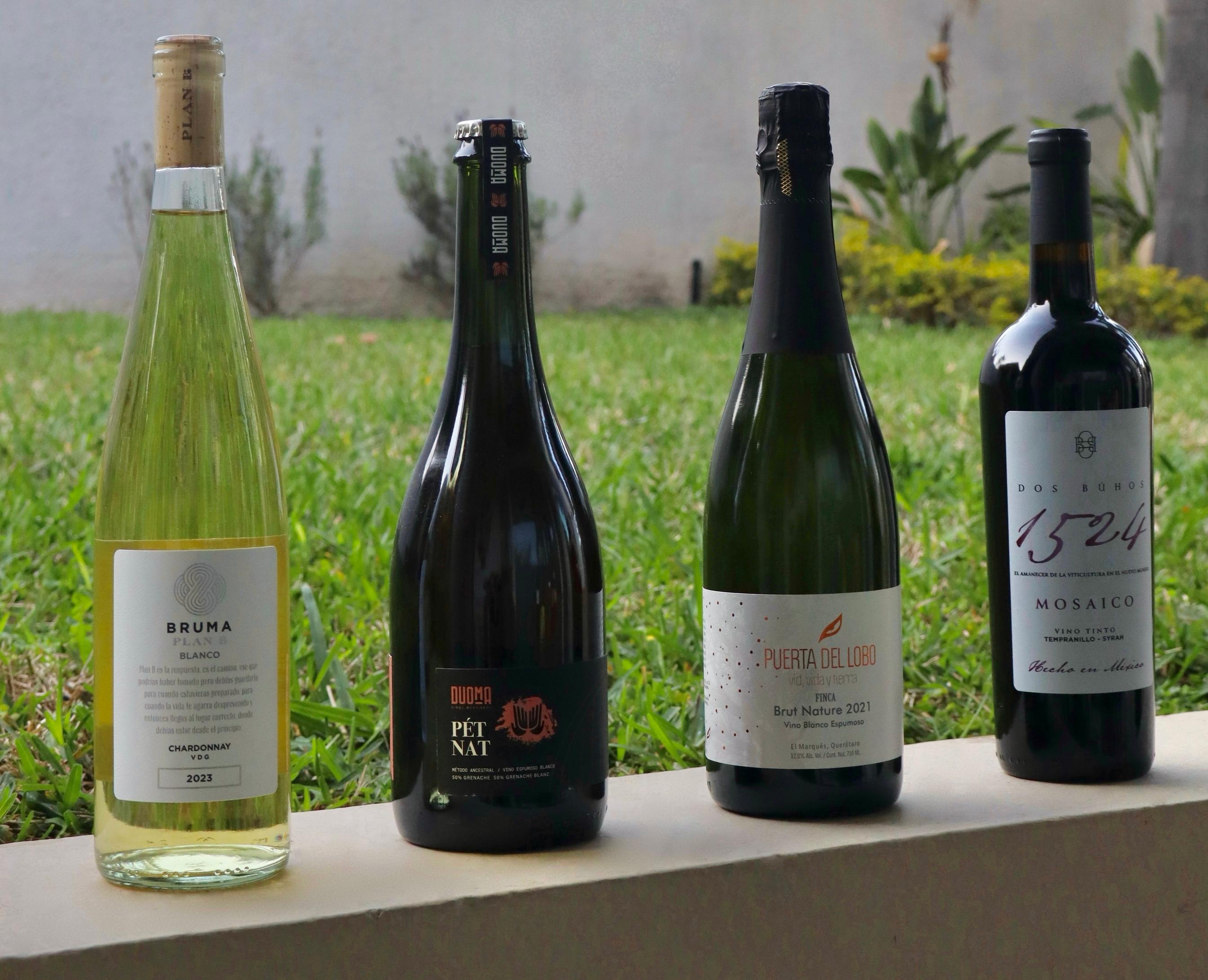 Las mejores opciones de vinos para la primavera