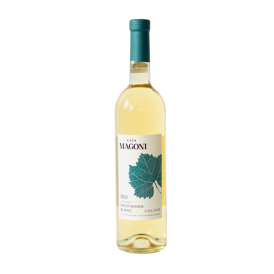 Casa Magoni Tradicion Llano Plano Sauvignon Blanc 2022 750ml